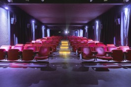 Zebra Kino Saal Foto von Loredana Șchiopu @sloredanac