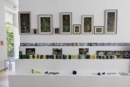 Eine Wand auf der verschiedenen Bilder und Flyer mit Gartenthematik hängen und stehen